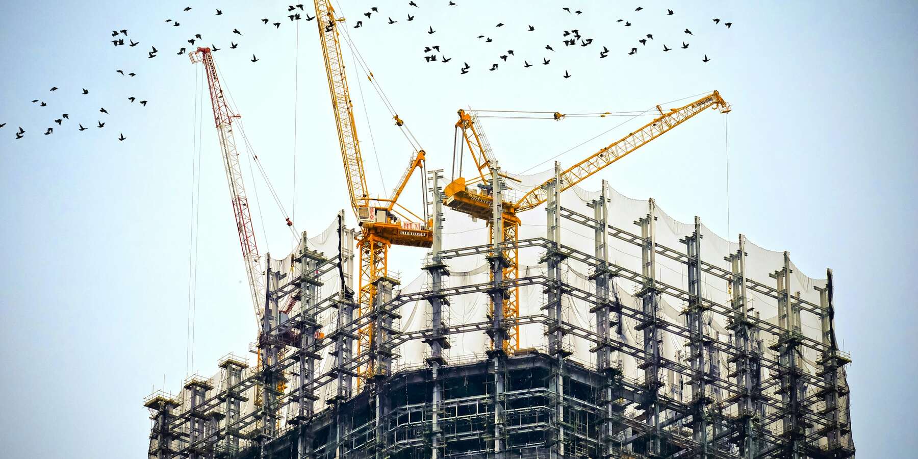 Baukräne über einem Rohbau im Gegenlicht
